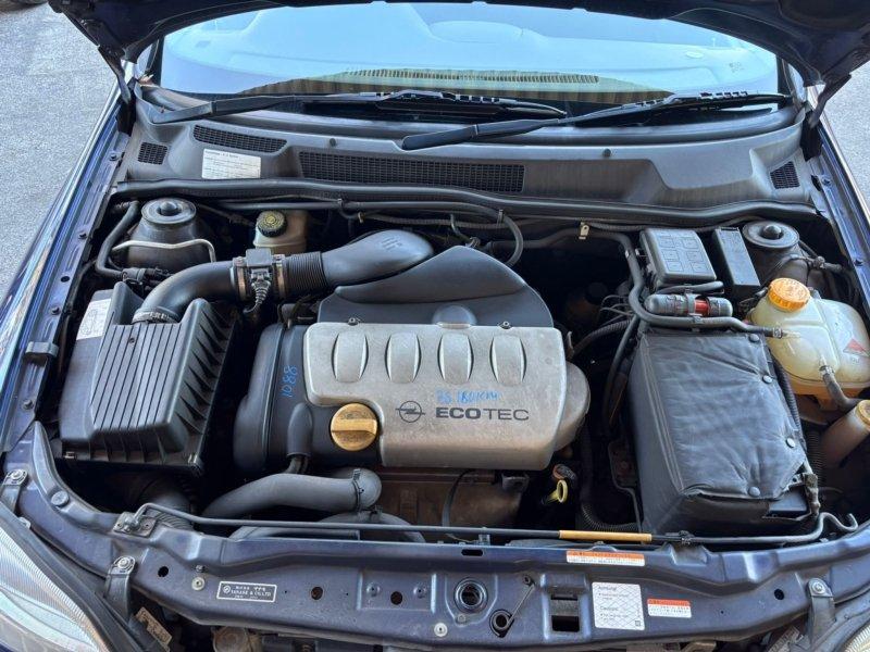 Фото донора 8