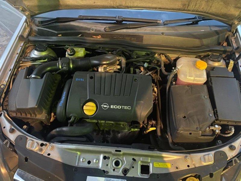 Фото донора 5