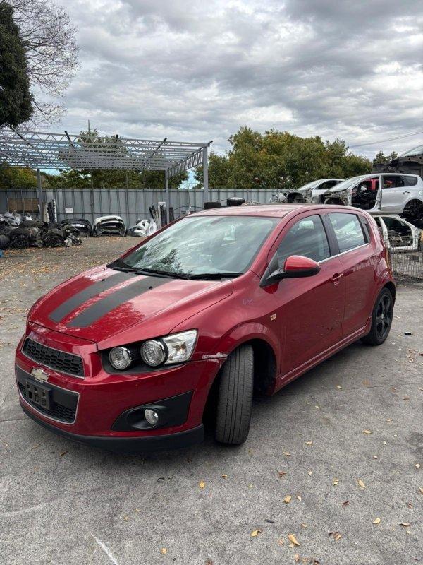 Фото донора 3