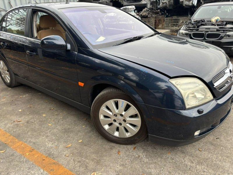 Фото донора 4