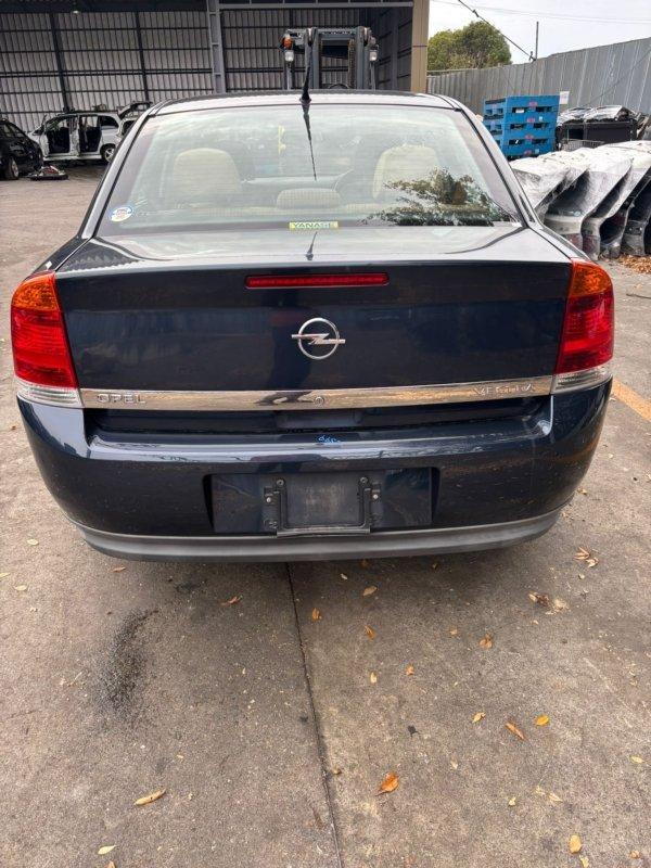 Фото донора 6