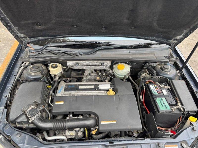 Фото донора 8