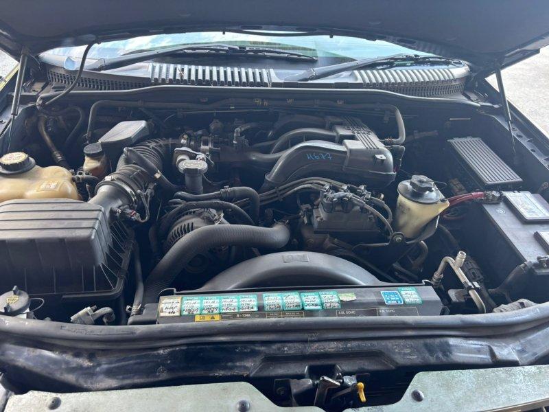 Фото донора 5