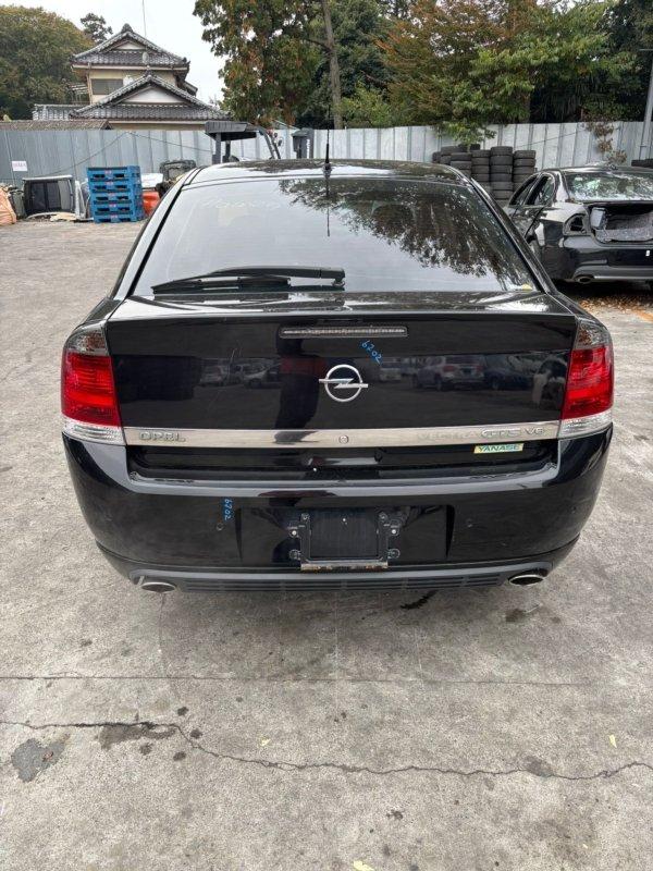 Фото донора 5