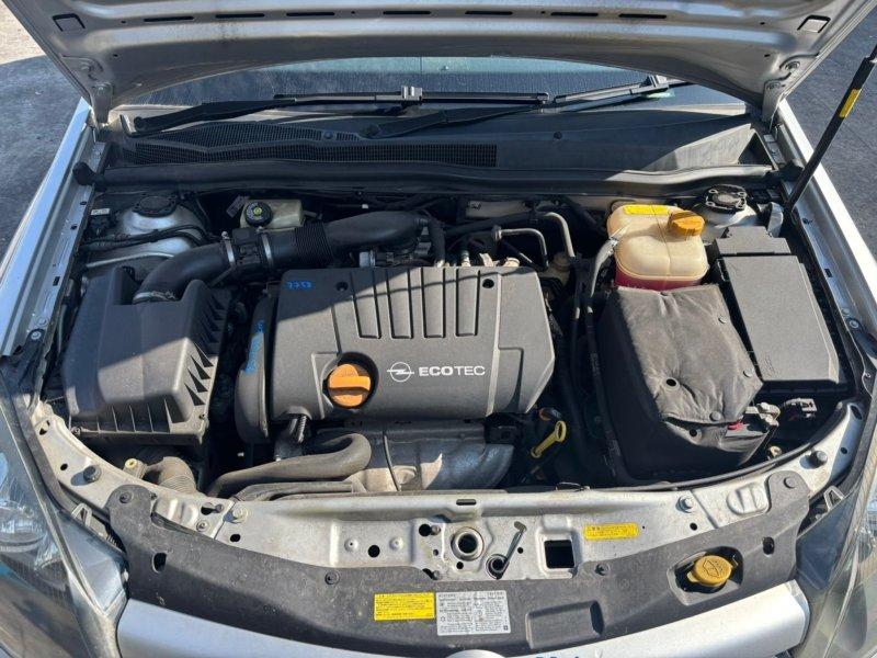 Фото донора 9