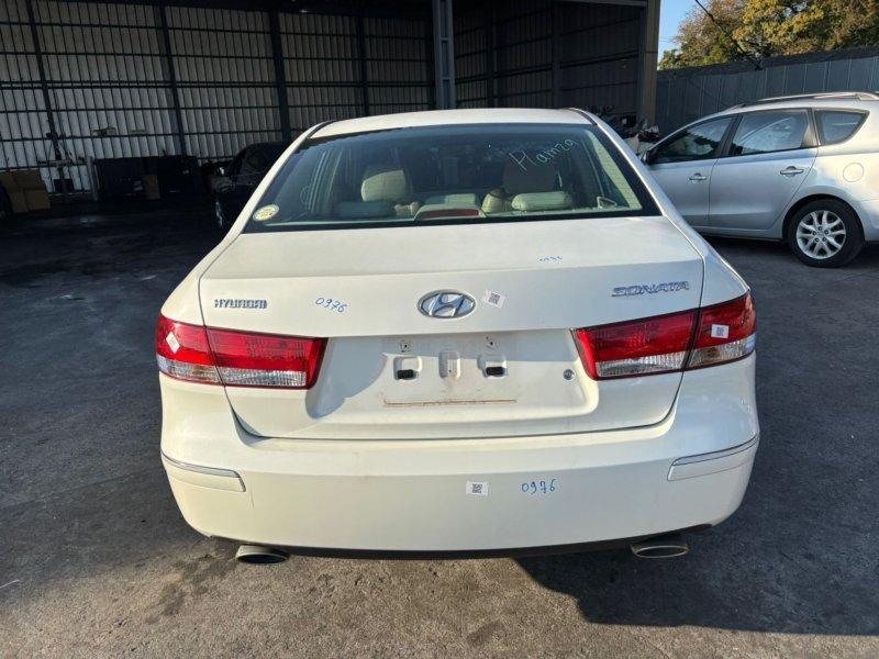 Фото донора 5