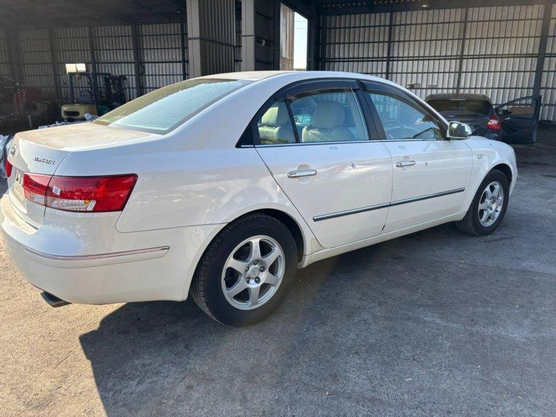 Фото донора 6