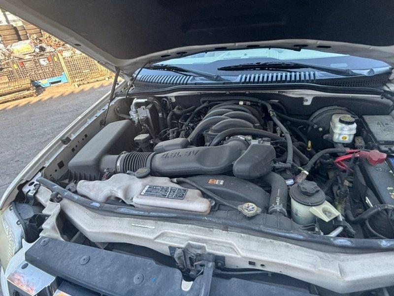 Фото донора 8