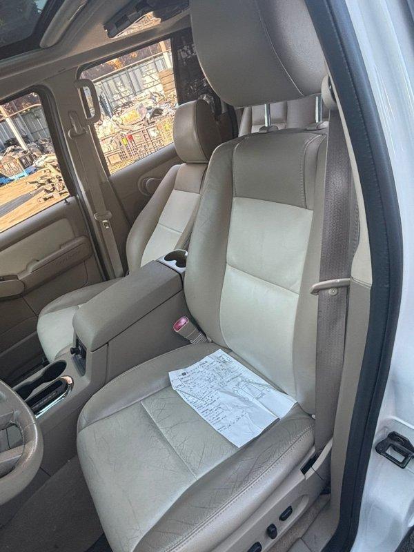 Фото донора 10