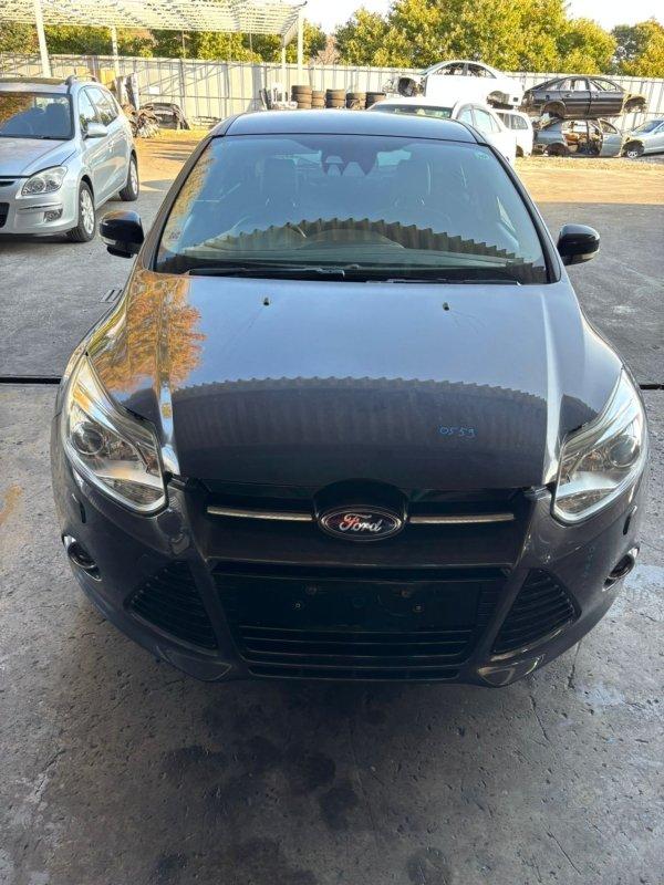 Фото донора 1