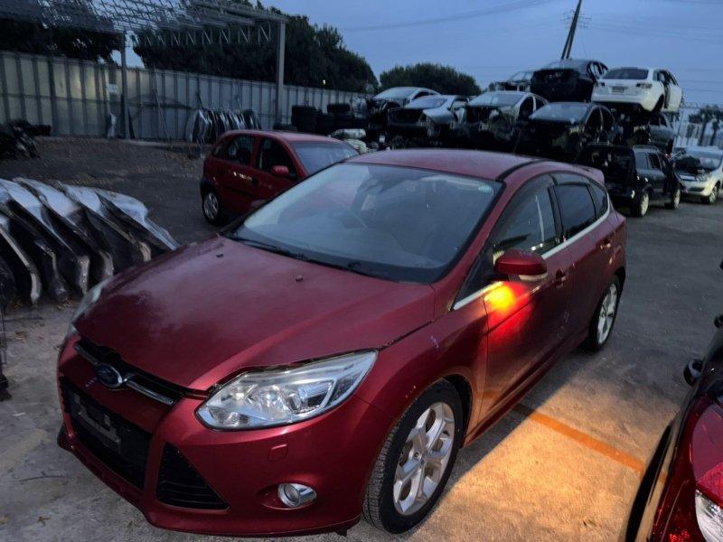 Фото донора 1