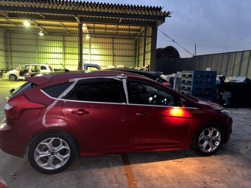 Фото донора 5