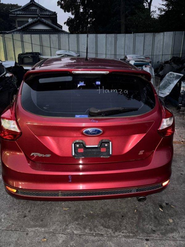 Фото донора 6