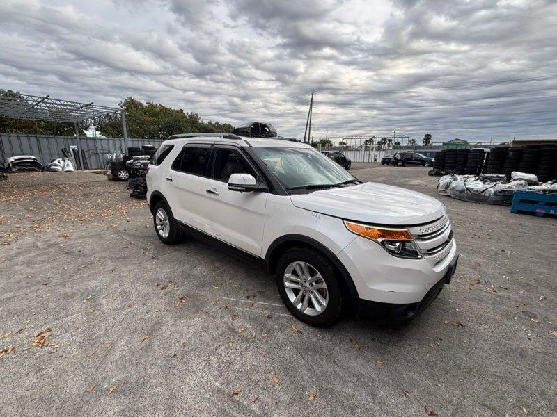 Фото донора 3