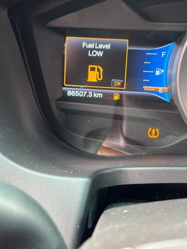 Фото донора 10