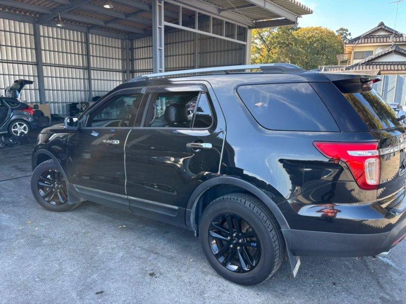 Фото донора 4