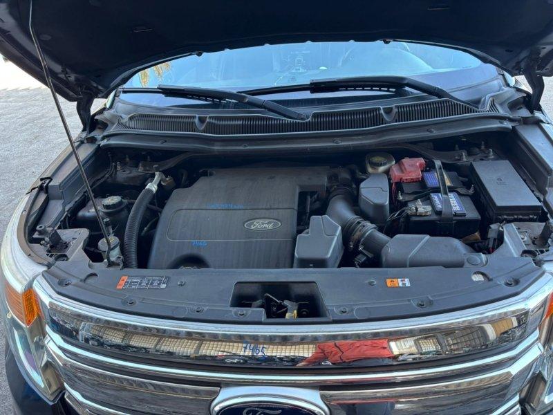 Фото донора 7